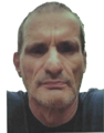 Photo of Glen Woods