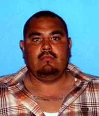 Photo of Elvis Vega