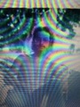 Photo of James Bonelli
