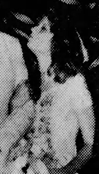 Photo of Zaida Stockberger