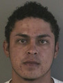Photo of Maynor Vaile