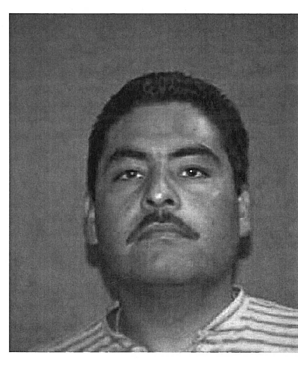 Photo of Maximino Casteneda